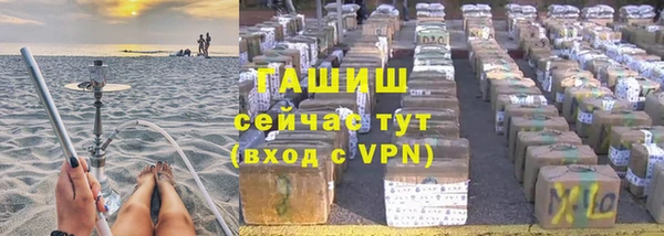 гидра Алексин